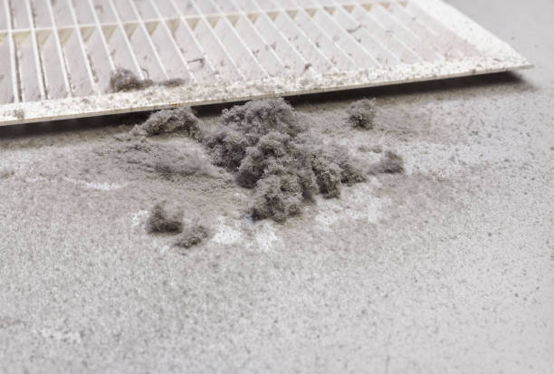 Best Air Duct Cleaning Near Me  in Kaanapali, HI