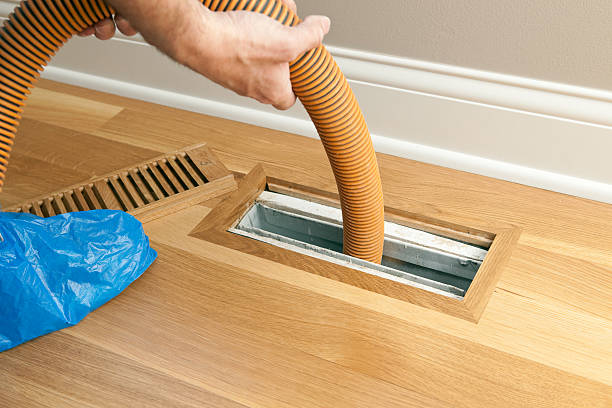 Best Local Air Duct Cleaning Services  in Kaanapali, HI