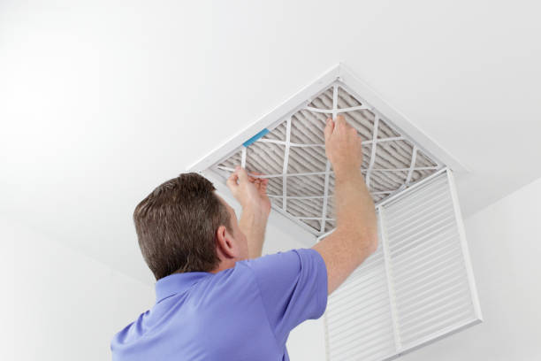Best Ductwork Cleaning Services  in Kaanapali, HI